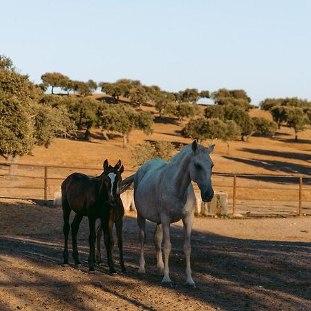 Herdade Da Caniceira Ervedal المظهر الخارجي الصورة
