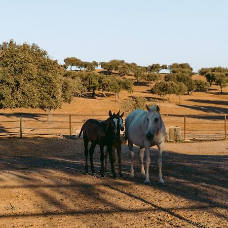 Herdade Da Caniceira Ervedal المظهر الخارجي الصورة