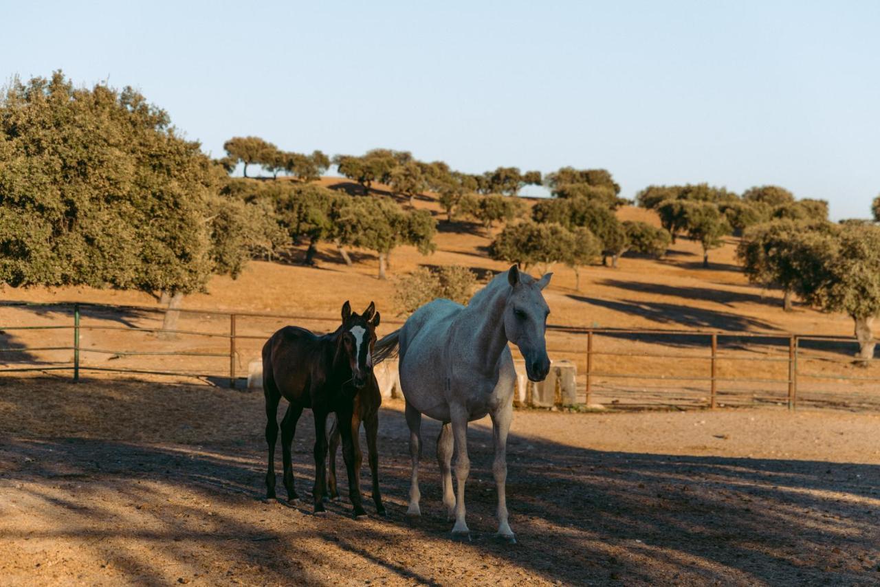 Herdade Da Caniceira Ervedal المظهر الخارجي الصورة