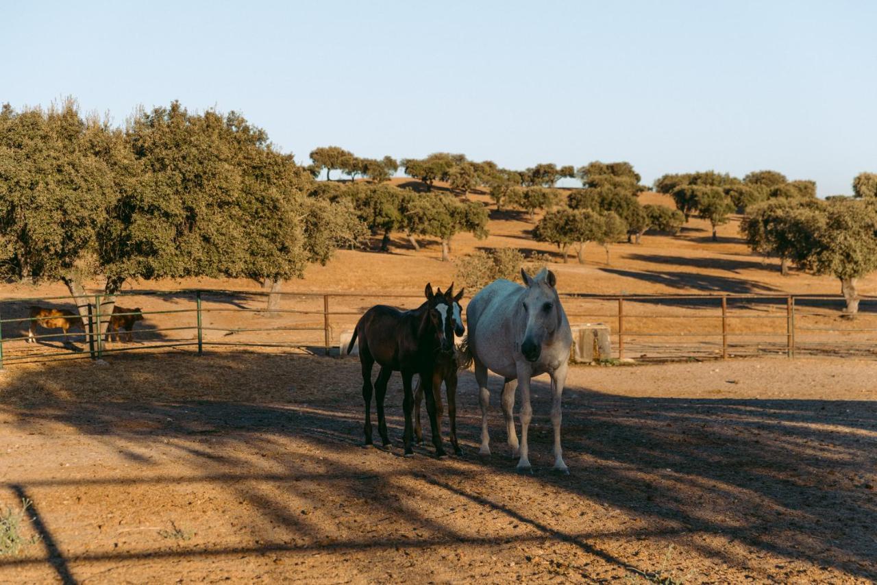 Herdade Da Caniceira Ervedal المظهر الخارجي الصورة